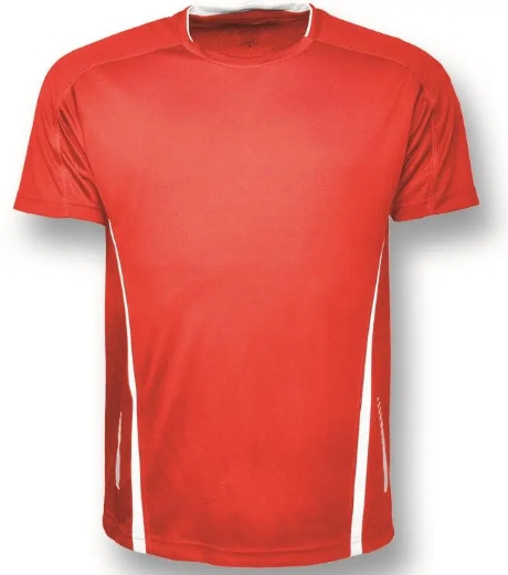 Picture of Bocini, Mens Elite Sports Tee